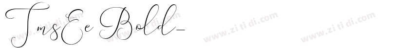 TmsEe Bold字体转换